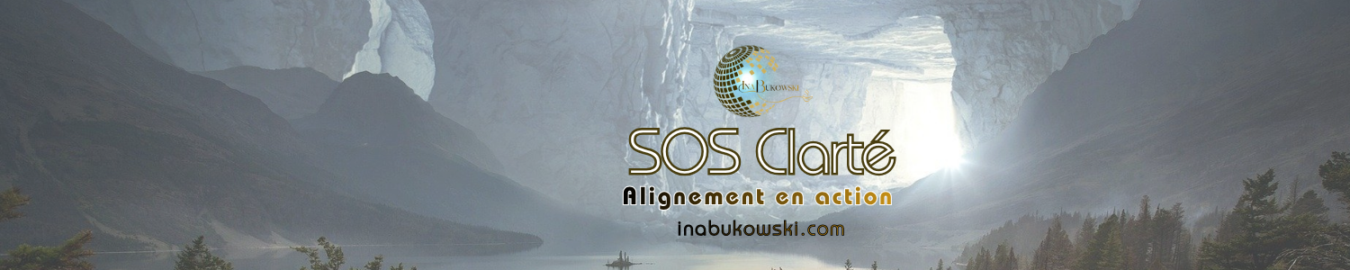 Bandeau SOS Clarté — mini-diagnostic professionnel